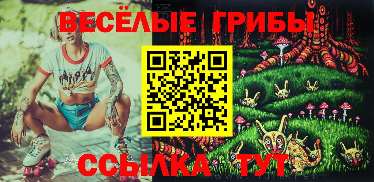 Унеча  Галлюциногенные грибы Magic Shrooms  Вход с VPN 